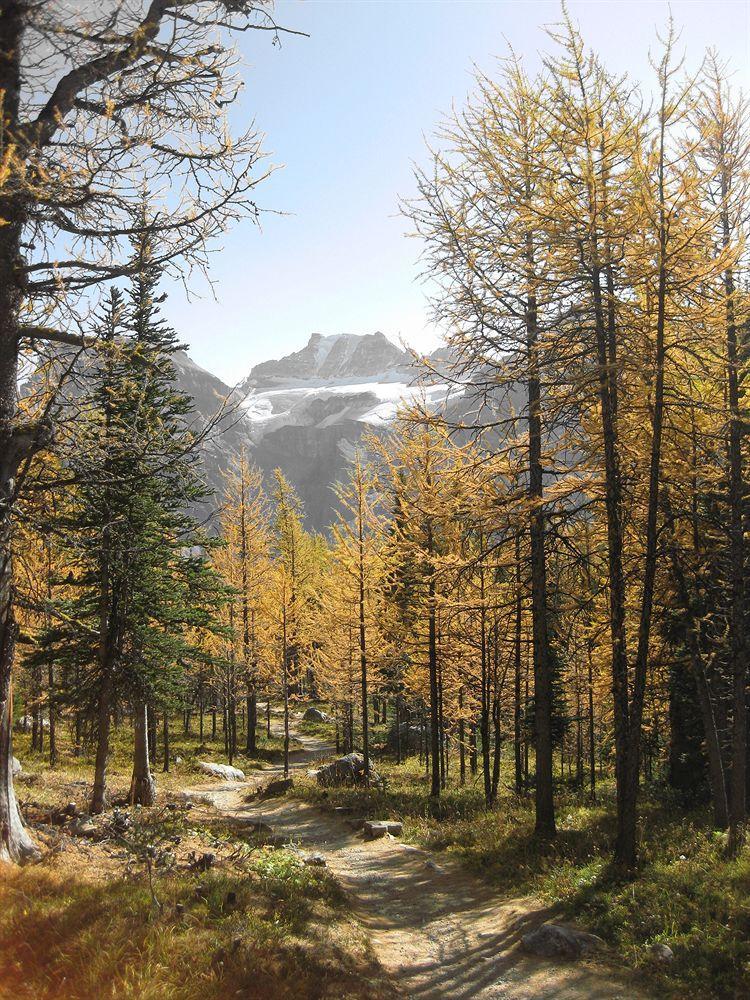 Moraine Lake Lodge Lake Louise Exterior foto
